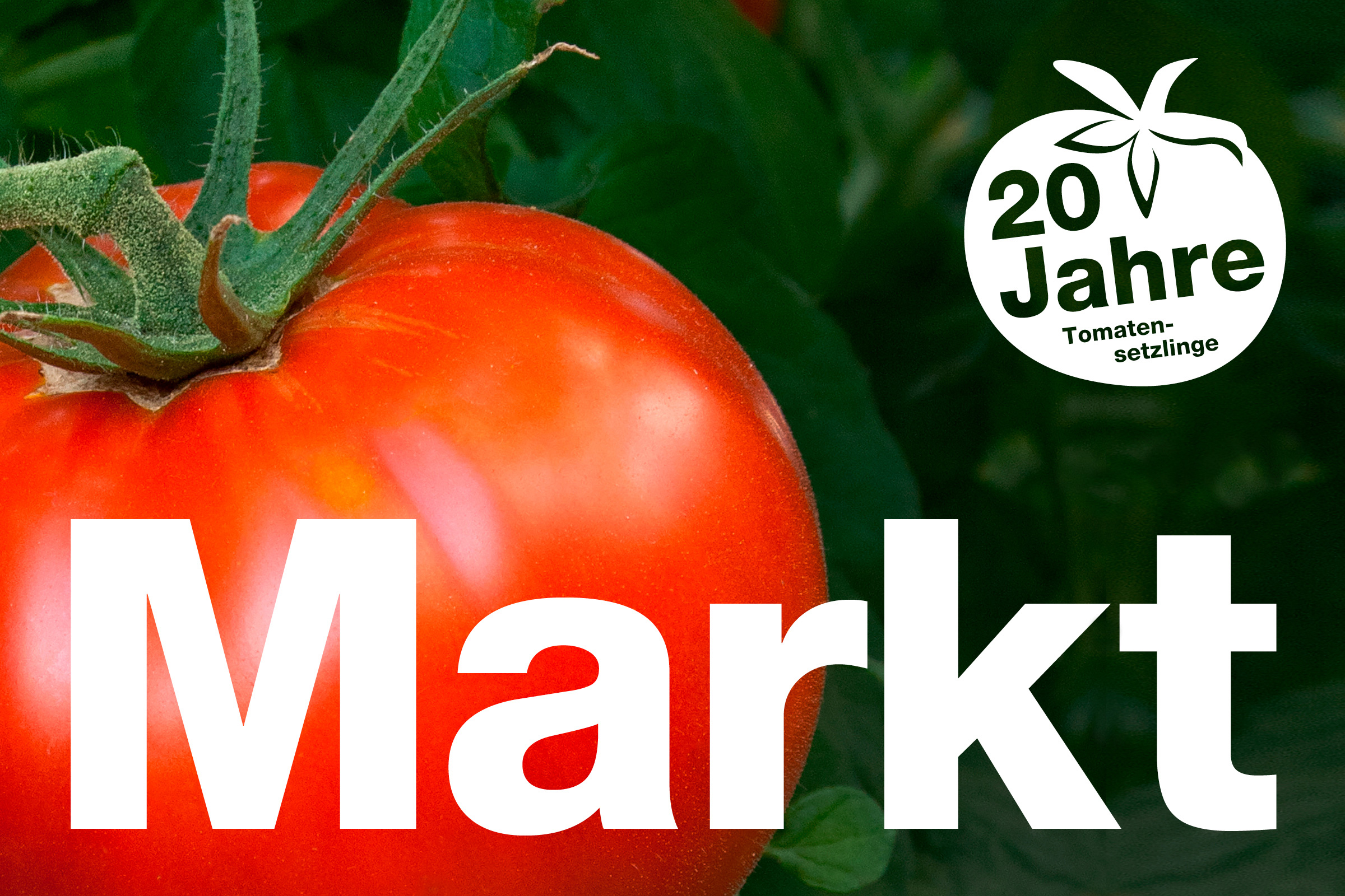 Das Bild zeigt eine Tomate und das Logo zum Tomatensetzlingsmarkt.
